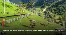 seguro de vida valor