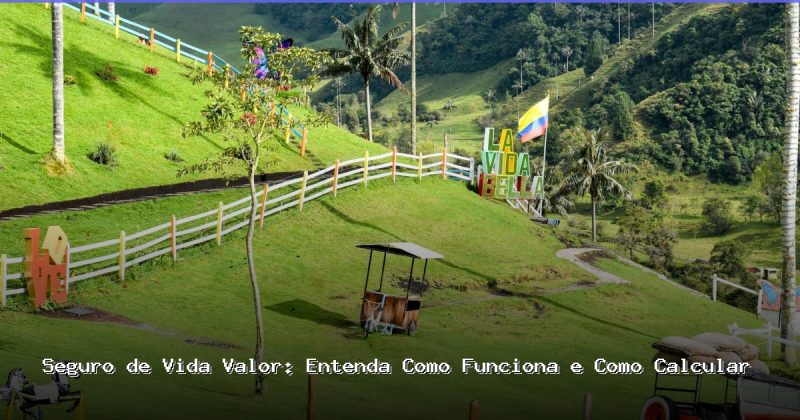 seguro de vida valor
