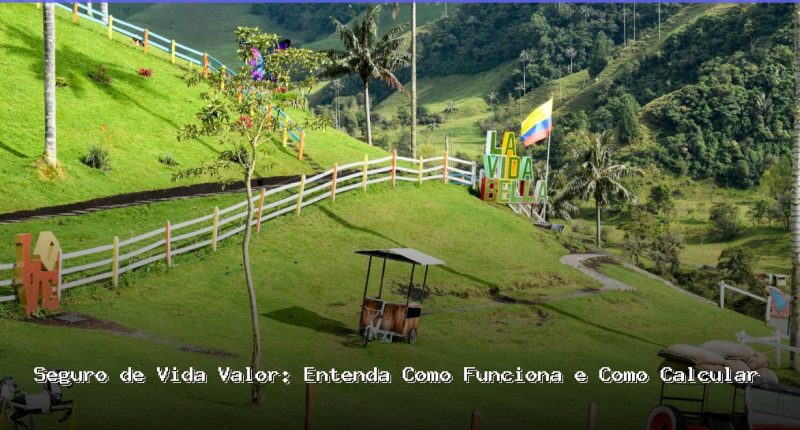 seguro de vida valor